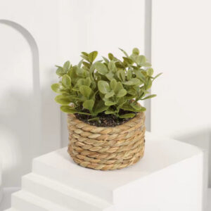 XIYA FLOWER Green Eucalyptus Grass Potted Plant | Small 11cm Woven Artificial Decor for Home & Office